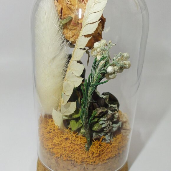 June Bug Sitting In Pinecone Throne Oddity Jar curiosity dome insect taxidermy - Picture 14 of 14